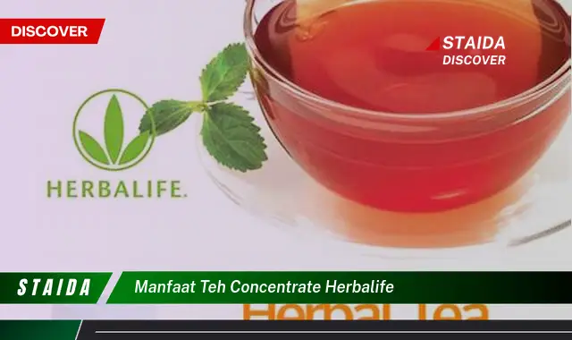 Temukan Manfaat Teh Concentrate Herbalife yang Jarang Diketahui untuk Kesehatan Anda