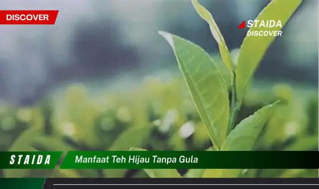 Temukan Manfaat Teh Hijau Tanpa Gula yang Jarang Diketahui