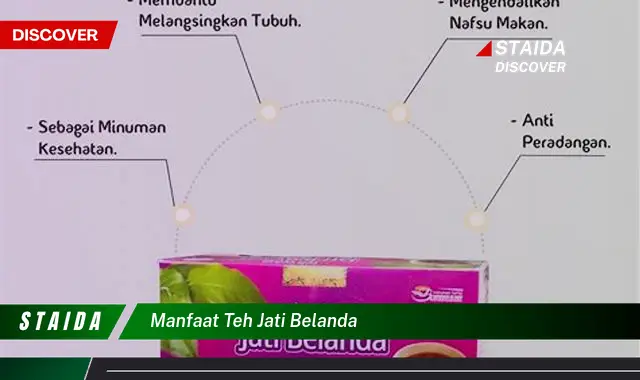 Temukan 7 Manfaat Teh Jati Belanda yang Jarang Diketahui, Wajib Tahu!