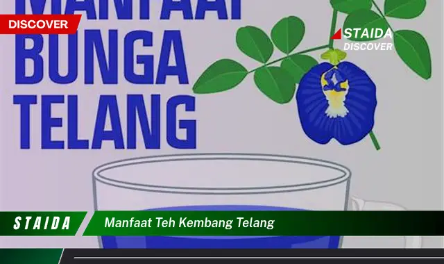 Manfaat Teh Kembang Telang: Penemuan Langka Penting Diketahui