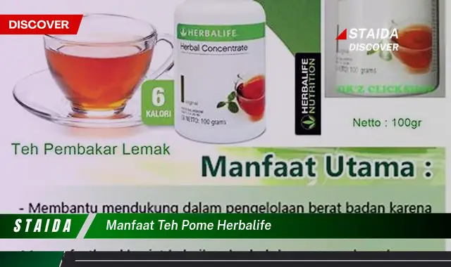 7 Manfaat Teh Herbalife yang Jarang Diketahui, Wajib Anda Tahu!