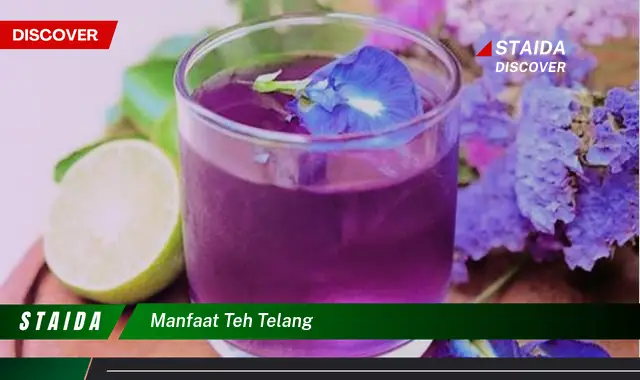 Temukan 7 Manfaat Teh Telang yang Jarang Diketahui