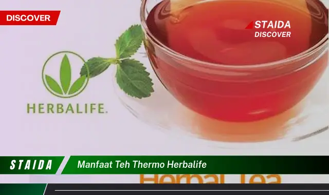 Temukan Manfaat Teh Thermo Herbalife yang Jarang Diketahui