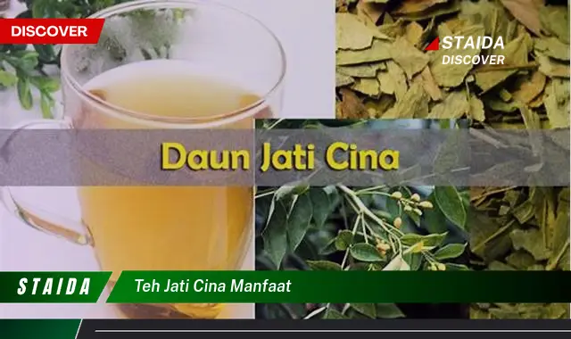 Temukan 7 Khasiat Teh Jati Cina yang Jarang Diketahui, Bikin Tercengang!