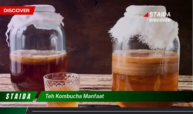 Temukan Manfaat Mengejutkan dari Teh Kombucha yang Jarang Diketahui