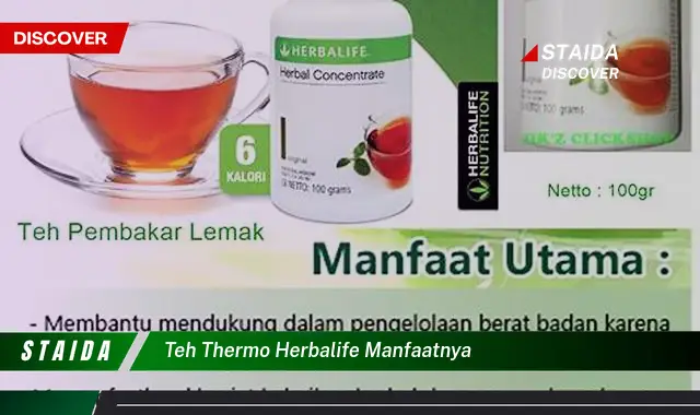 Temukan 7 Manfaat Teh Termo Herbalife yang Jarang Diketahui