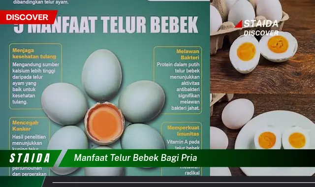 Temukan 7 Manfaat Telur Bebek yang Jarang Diketahui untuk Pria