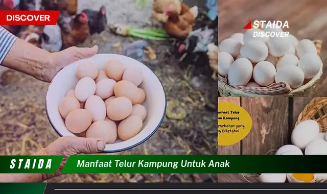 Temukan Manfaat Telur Kampung untuk Anak yang Jarang Diketahui