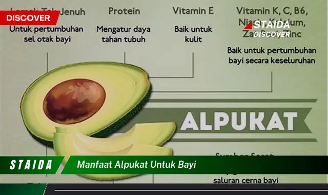 Temukan 7 Manfaat Alpukat untuk Bayi yang Jarang Diketahui