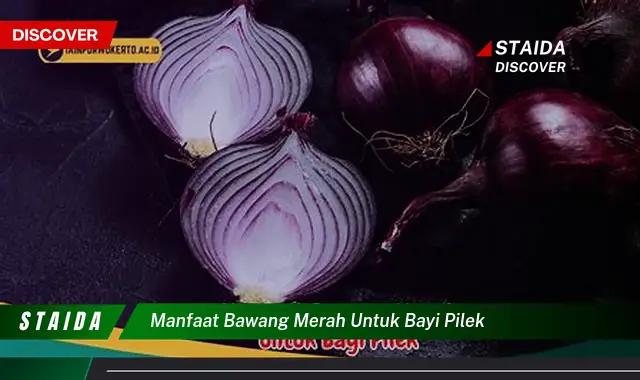 Temukan 7 Manfaat Bawang Merah untuk Bayi Pilek yang Jarang Diketahui