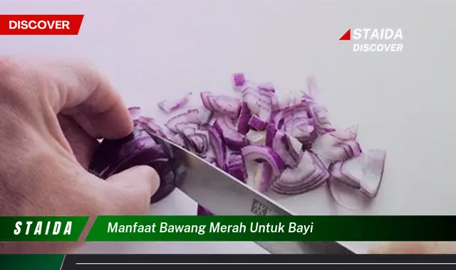 Temukan Manfaat Bawang Merah untuk Bayi yang Jarang Diketahui