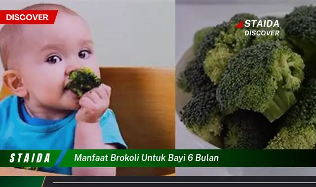 Temukan Manfaat Brokoli untuk Bayi 6 Bulan yang Penting Diketahui