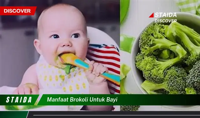 Temukan 5 Manfaat Brokoli untuk Bayi yang Menakjubkan