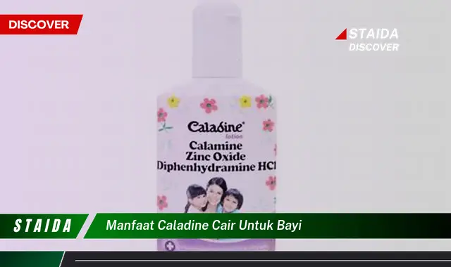 Temukan 7 Manfaat Caladine Cair untuk Bayi yang Jarang Diketahui