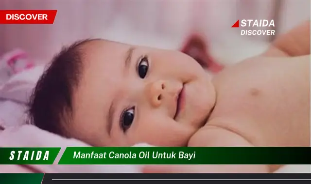 Temukan Manfaat Canola Oil untuk Bayi yang Jarang Diketahui