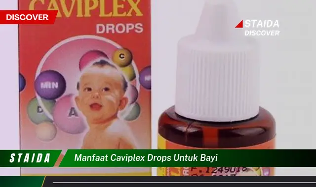 Temukan 7 Manfaat Caviplex Drops untuk Bayi yang Jarang Diketahui