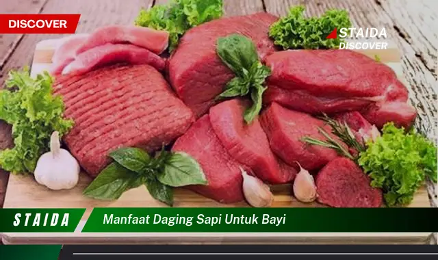 Temukan Manfaat Daging Sapi untuk Bayi yang Jarang Diketahui