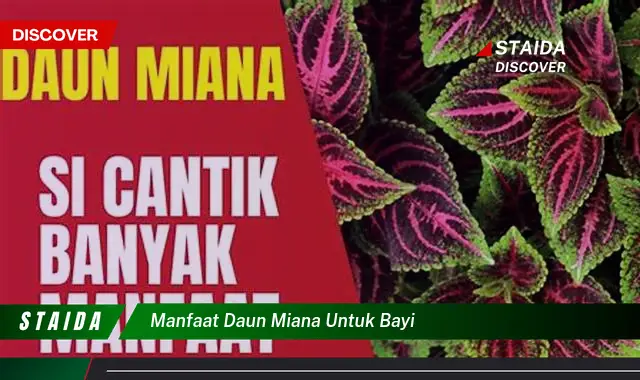 Temukan 7 Manfaat Daun Miana untuk Bayi yang Jarang Diketahui