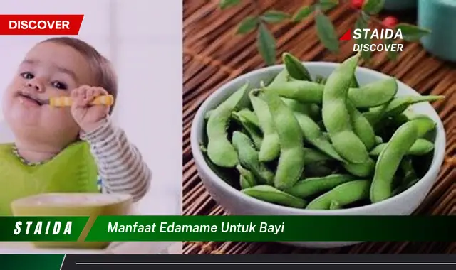 Temukan Manfaat Edamame untuk Bayi yang Jarang Diketahui