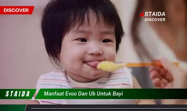 Temukan 7 Manfaat EVVO dan UB untuk Bayi yang Jarang Diketahui