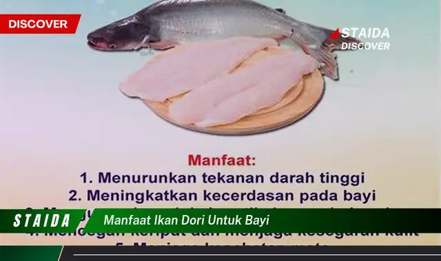 Temukan Manfaat Ikan Dori untuk Bayi yang Jarang Diketahui