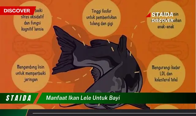 Temukan 7 Manfaat Ikan Lele untuk Bayi yang Jarang Diketahui