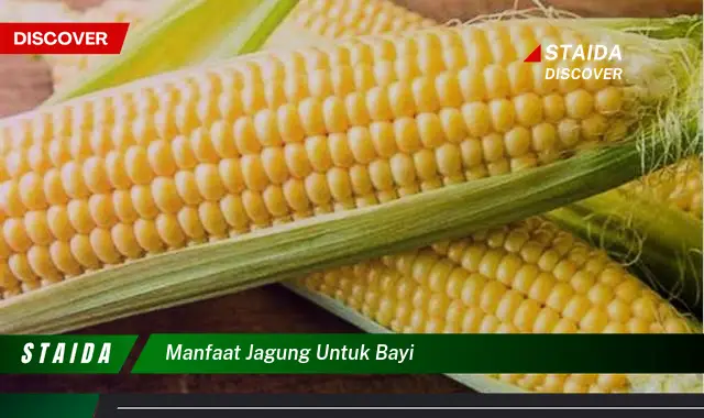 Temukan 7 Manfaat Jagung untuk Bayi Anda!