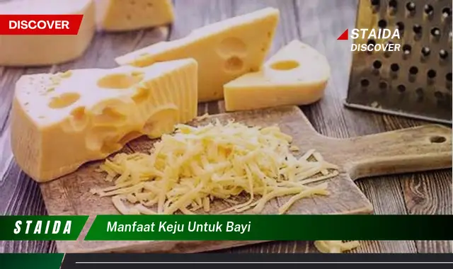 Temukan 7 Manfaat Keju untuk Bayi yang Jarang Diketahui