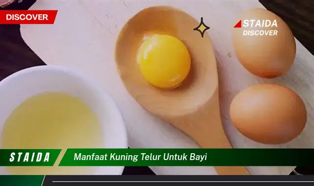 Temukan 7 Manfaat Kuning Telur untuk Bayi yang Jarang Diketahui