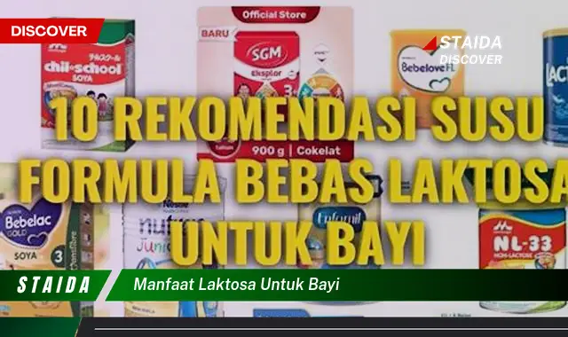 Temukan Manfaat Laktosa untuk Bayi yang Jarang Diketahui