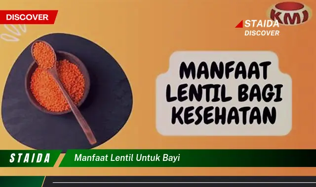 7 Manfaat Lentil untuk Bayi yang Jarang Diketahui