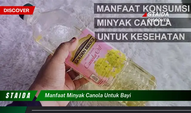 Temukan Manfaat Minyak Canola untuk Bayi: 7 Manfaat Langka yang Jarang Diketahui