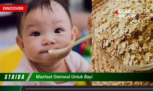 Temukan 7 Manfaat Oatmeal untuk Bayi yang Wajib Anda Ketahui