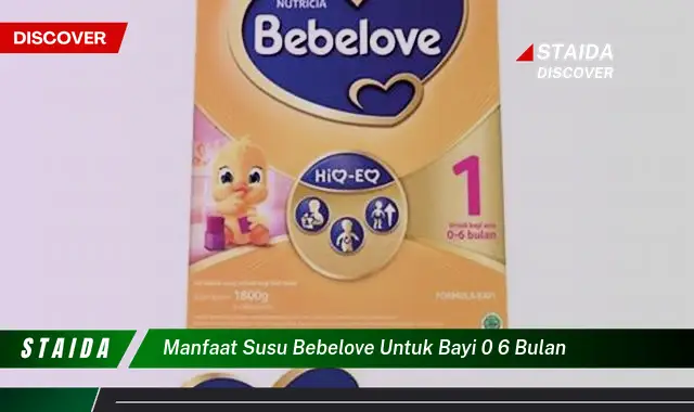 7 Khasiat Susu Bebelove untuk Bayi 0-6 Bulan yang Jarang Diketahui