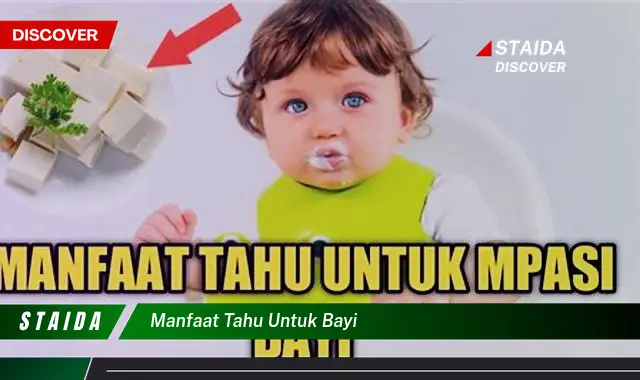 Temukan Manfaat Luar Biasa Tahu untuk Bayi yang Jarang Diketahui