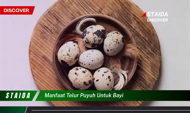 Temukan 7 Manfaat Telur Puyuh yang Jarang Diketahui untuk Bayi Anda