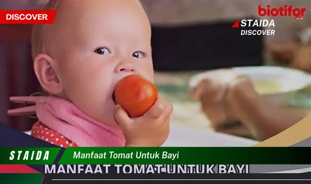 Temukan Manfaat Tomat yang Tak Terduga untuk Bayi