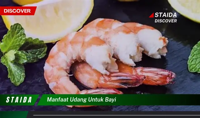 Temukan Manfaat Udang untuk Bayi yang Belum Banyak Diketahui