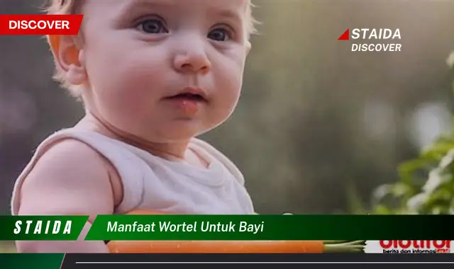 Temukan 7 Manfaat Wortel untuk Bayi yang Jarang Diketahui