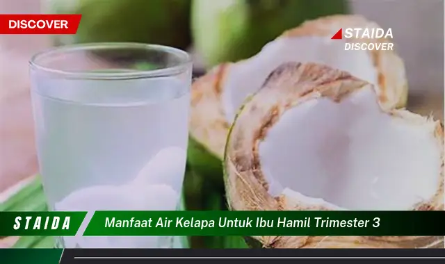 Temukan 7 Manfaat Air Kelapa untuk Ibu Hamil Trimester 3 yang Jarang Diketahui