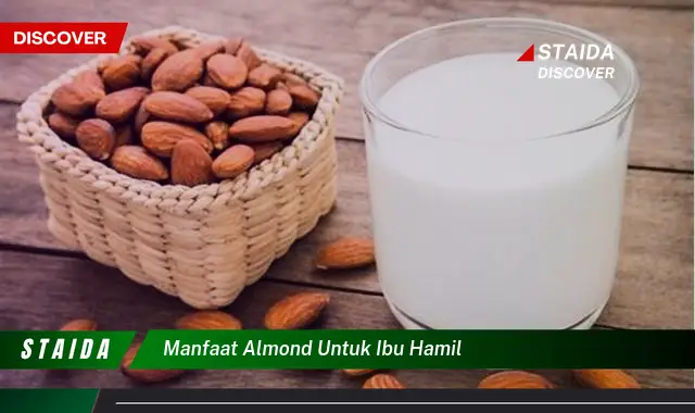 Temukan 7 Manfaat Almond untuk Ibu Hamil yang Jarang Diketahui