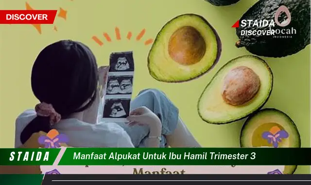 Temukan 7 Manfaat Alpukat untuk Ibu Hamil Trimester 3 yang Jarang Diketahui