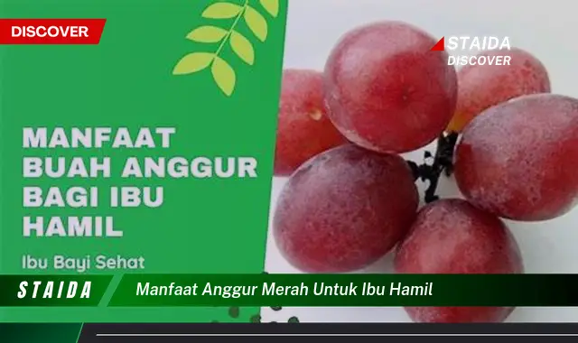 Ungkap Manfaat Anggur Merah untuk Ibu Hamil yang Jarang Diketahui