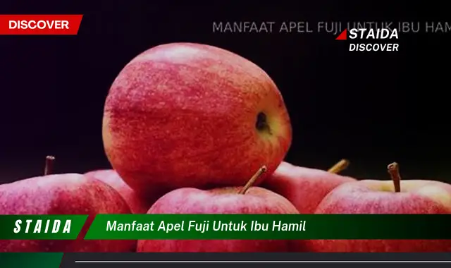 Temukan 7 Manfaat Apik Apel Fuji untuk Ibu Hamil yang Jarang Diketahui