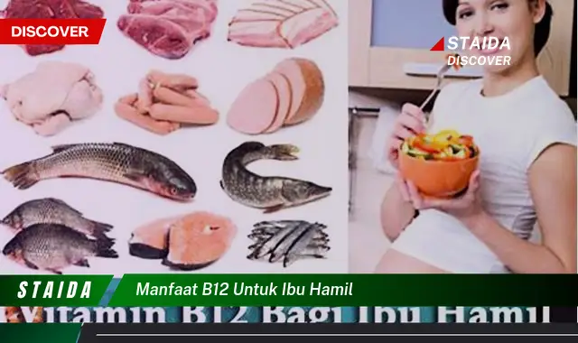 Temukan 7 Manfaat Vitamin B12 untuk Ibu Hamil yang Jarang Diketahui