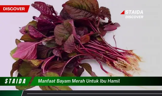 Temukan Manfaat Bayam Merah yang Jarang Diketahui, Penting untuk Ibu Hamil!