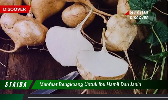 Temukan Manfaat Bengkoang untuk Ibu Hamil dan Janin yang Jarang Diketahui