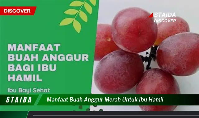 Temukan Manfaat Buah Anggur Merah untuk Ibu Hamil yang Jarang Diketahui