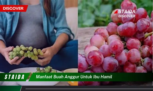 Temukan Manfaat Buah Anggur untuk Ibu Hamil yang Belum Banyak Diketahui