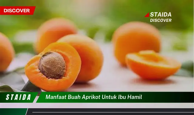 Temukan 5 Manfaat Buah Aprikot yang Jarang Diketahui Ibu Hamil